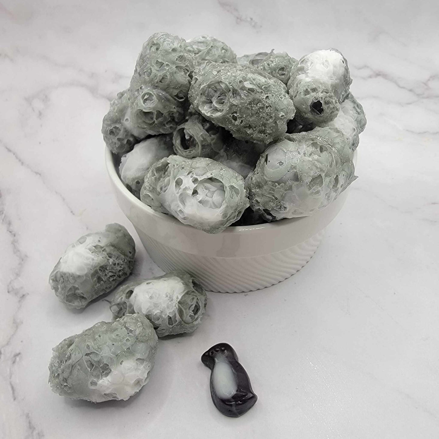 Pingouins à la pêche Lyophilisés Freeze dried treats