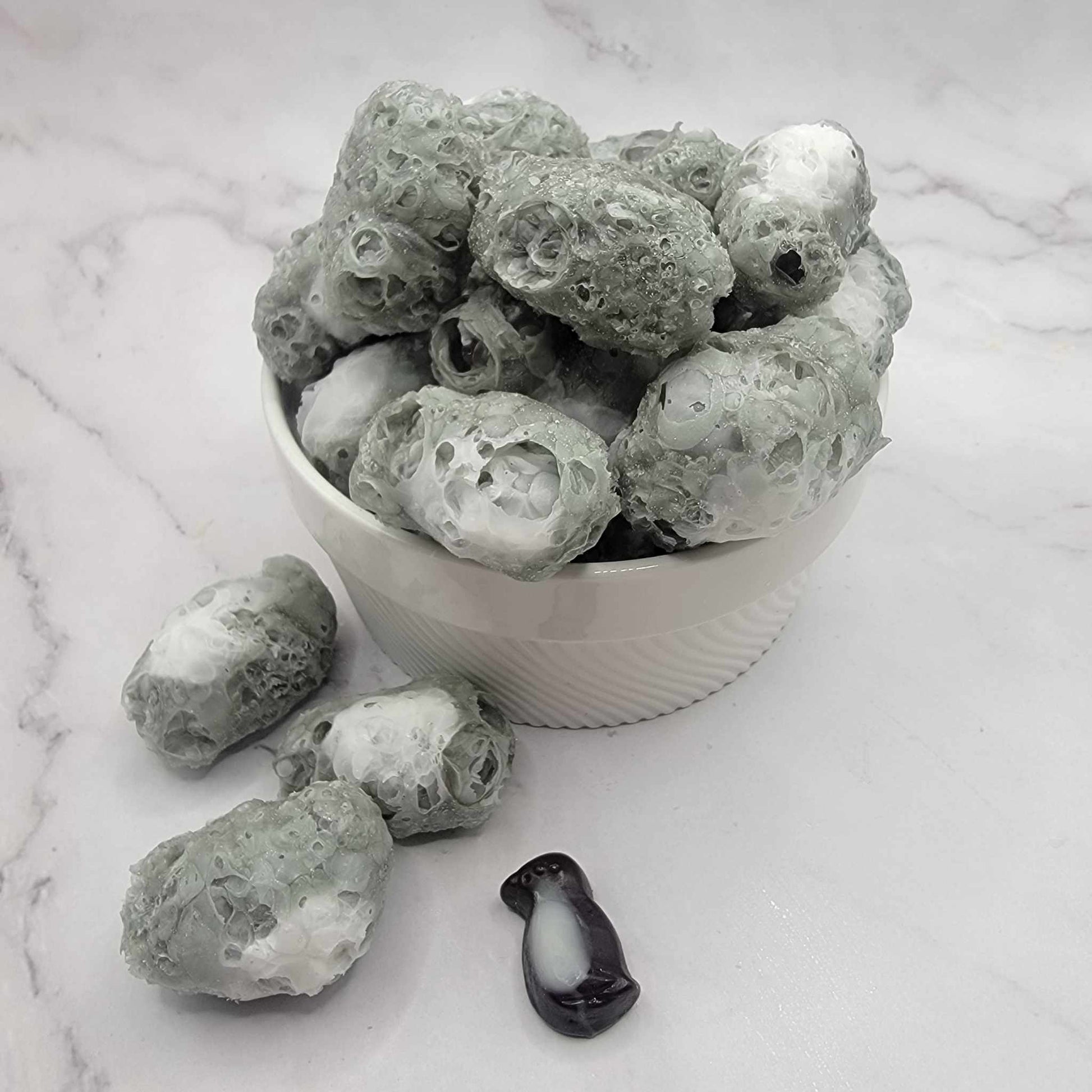 Pingouins à la pêche Lyophilisés