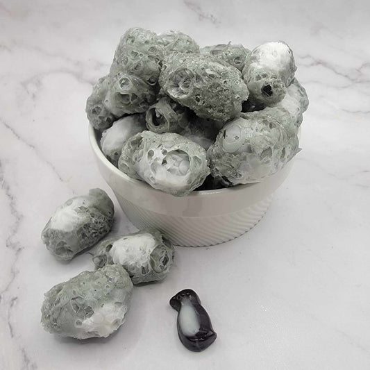 Pingouins à la pêche Lyophilisés Freeze dried treats