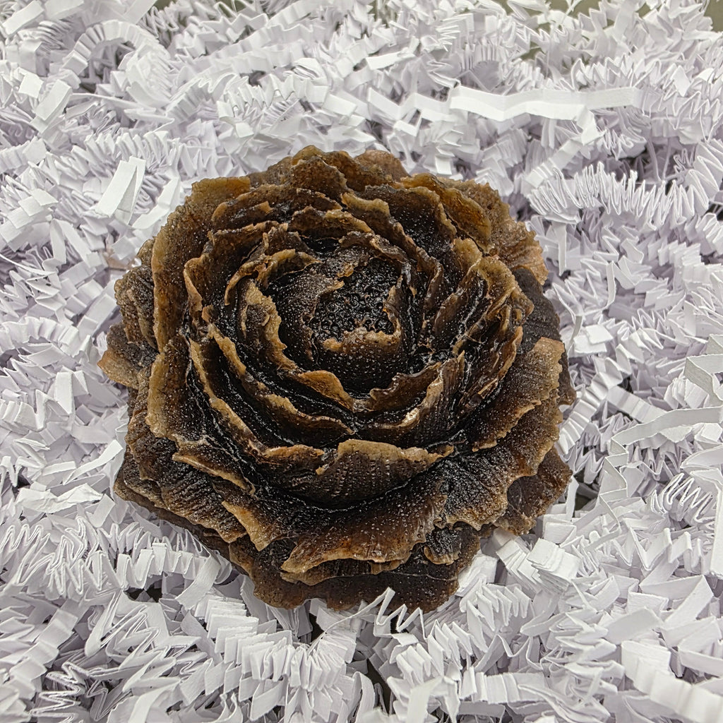 Bonbons cristaux / Cristal Candy / Café-noisette / coffee hazelnut